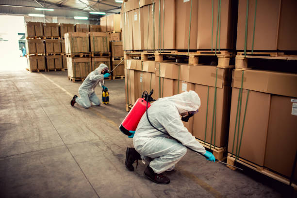Best Cockroach Control Services  in New Bedford, PA