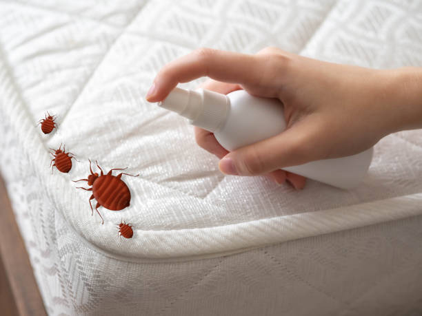 Best Commercial Pest Control Services  in New Bedford, PA
