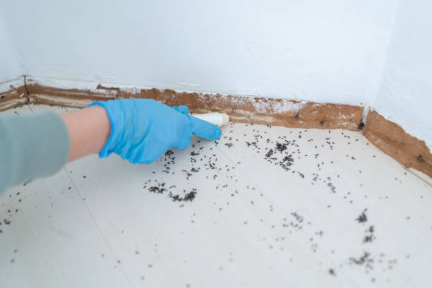 Best Pest Removal Services  in New Bedford, PA