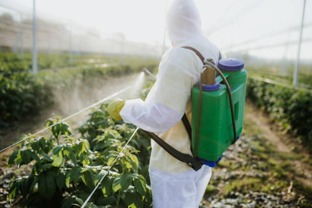 Best Local Pest Control Services  in New Bedford, PA